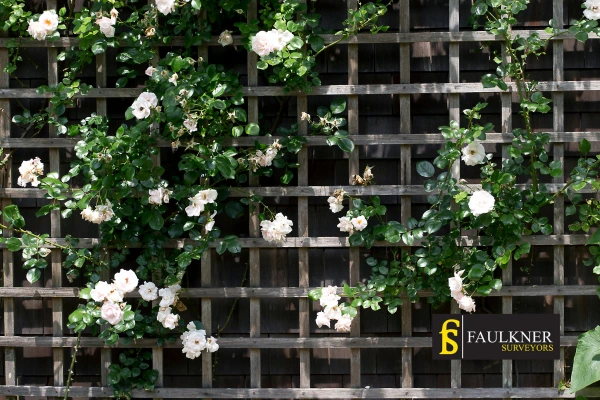 Can I put trellis on my Neighbours garage wall? 2 Do you want to adapt your neighbours garage door and add a trellis Stratford-upon-Avon? Talk to Faulkner Surveyor Stratford-upon-Avon